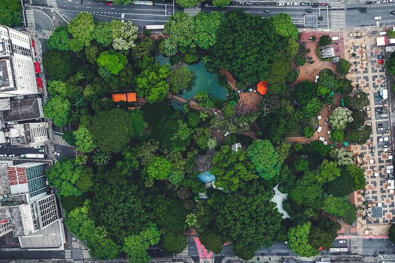 Illustration representing connection and shared plans